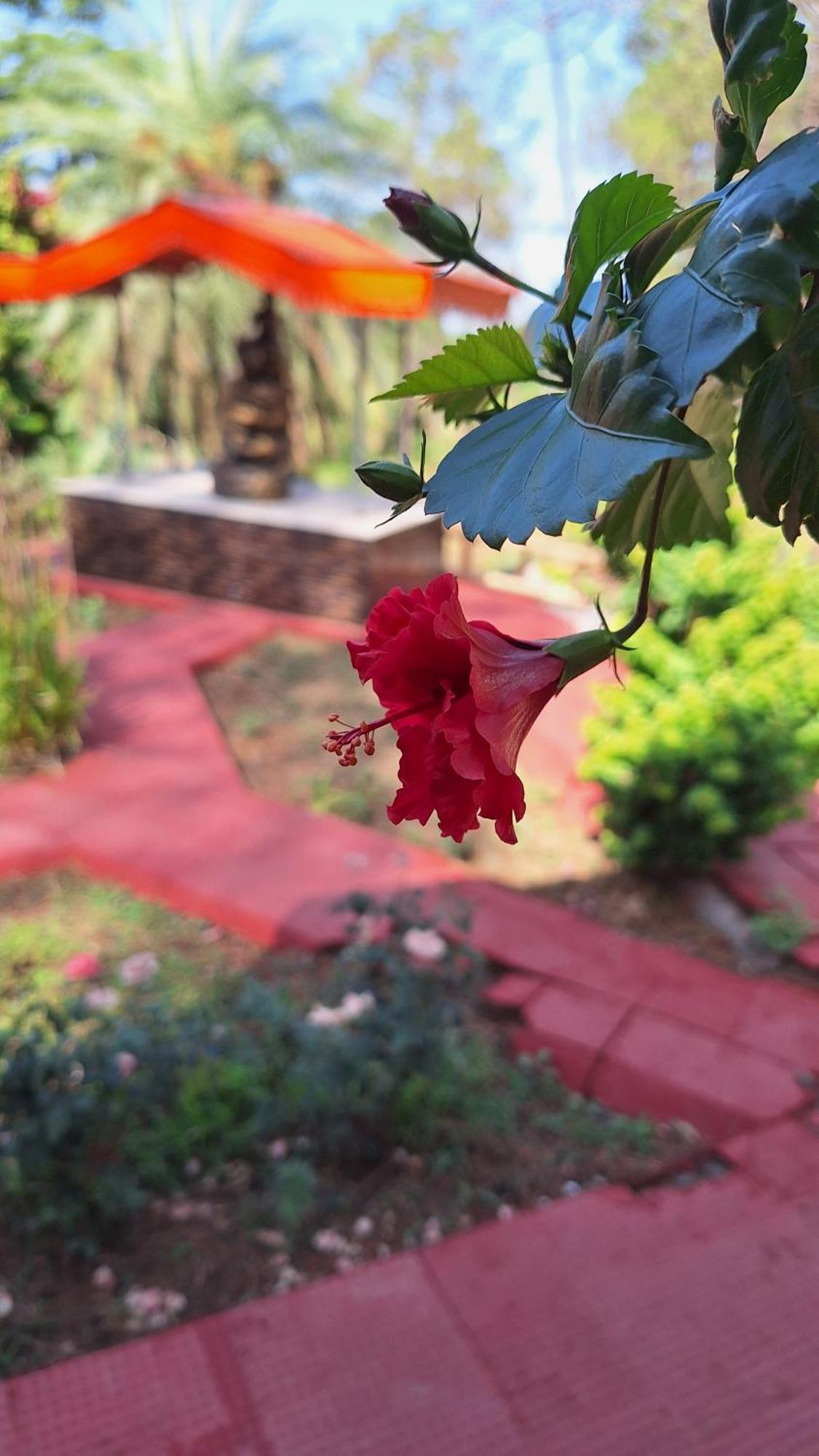 Tathastu Bir -Homestay ,Dorm,Hostel Exterior photo