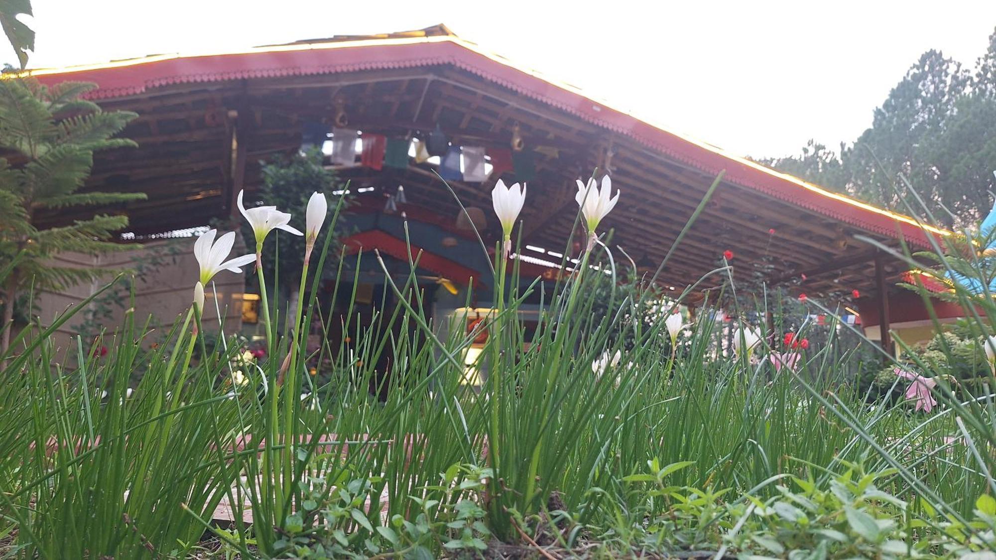 Tathastu Bir -Homestay ,Dorm,Hostel Exterior photo